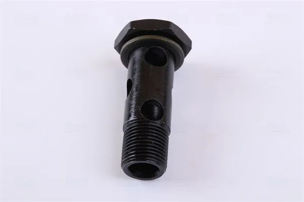 thumb (25).webp