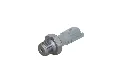 thumb (7).webp