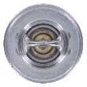 thumb (12).webp