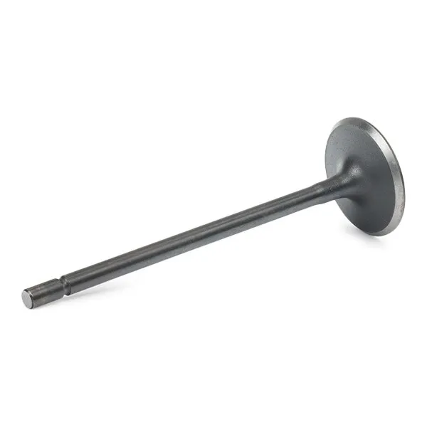 صباب بنزين Inlet Valve Renault Laguna I/ Megane I/ Clio II